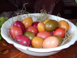 gekleurde eieren met auro eierenverf